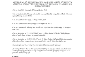 Thông tư 40/2020/TT-BGDĐT mã số nghề nghiệp bổ nhiệm cho viên chức giảng dạy trong cơ sở công lập