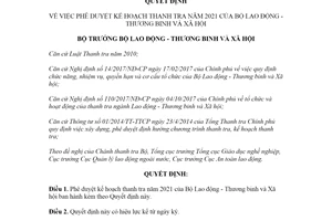 Quyết định 1314/QĐ-LĐTBXH 2020 phê duyệt kế hoạch thanh tra 2021