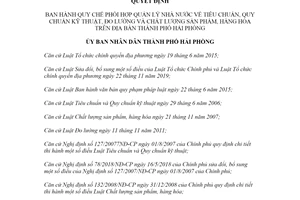 Quyết định 28/2020/QĐ-UBND quản lý nhà nước về tiêu chuẩn chất lượng sản phẩm Hải Phòng