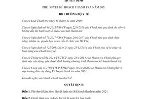 Quyết định 4912/QĐ-BYT 2020 phê duyệt Kế hoạch thanh tra năm 2021