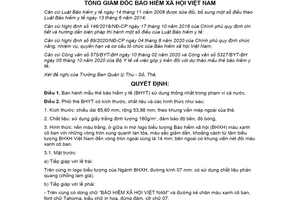 Quyết định 1666/QĐ-BHXH 2020 mẫu thẻ bảo hiểm y tế