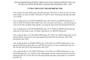 Quyết định 5343/QĐ-UBND 2020 Kế hoạch phát triển sản xuất giống bưởi đỏ Tân Lạc Hà Nội