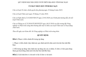 Quyết định 24/2020/QĐ-UBND quy định mật độ chăn nuôi tỉnh Bắc Kạn