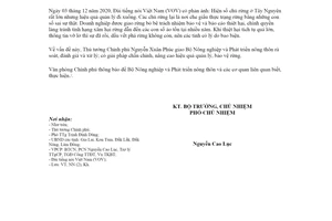 Công văn 10340/VPCP-NN 2020 xử lý thông tin quản lý bảo vệ rừng vùng Tây Nguyên