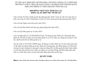 Nghị quyết 131/2020/NQ-HĐND mức hưởng phụ cấp hằng tháng của Thôn đội trưởng tỉnh Gia Lai