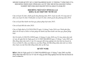 Nghị quyết 133/2020/NQ-HĐND bãi bỏ Nghị quyết 11/2005/NQ-HĐND tỉnh Gia Lai