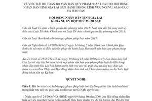 Nghị quyết 134/2020/NQ-HĐND bãi bỏ văn bản lĩnh vực nội vụ Hội đồng nhân dân tỉnh Gia Lai