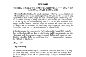 Kế hoạch 1993/KH-BCĐTƯATTP 2020 bảo đảm an toàn thực phẩm Tết Nguyên đán Tân Sửu 2021