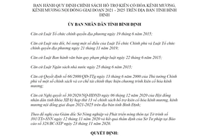 Quyết định 85/2020/QĐ-UBND chính sách hỗ trợ kiên cố hóa kênh mương tỉnh Bình Định