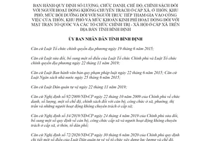 Quyết định 80/2020/QĐ-UBND số lượng người hoạt động không chuyên trách ở cấp xã tỉnh Bình Định