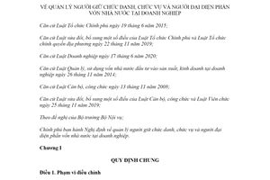 Nghị định 159/2020/NĐ-CP quản lý người giữ chức danh chức vụ tại doanh nghiệp 100% vốn Nhà nước