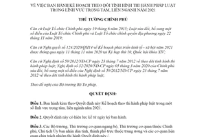 Quyết định 49/QĐ-TTg 2021 Kế hoạch theo dõi tình hình thi hành pháp luật trong lĩnh vực trọng tâm