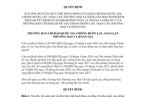 Quyết định 08/QĐ-BCĐ389 2021 sửa đổi Quyết định 264/QĐ-BCĐ389 hoạt động Ban Chỉ đạo chống buôn lậu