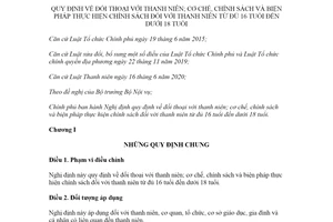 Nghị định 13/2021/NĐ-CP đối thoại với thanh niên chính sách đối với thanh niên từ đủ 16 tuổi đến dưới 18 tuổi