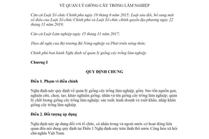 Nghị định 27/2021/NĐ-CP quản lý giống cây trồng lâm nghiệp