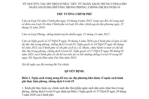 Quyết định 482/QĐ-TTg 2021 nguyên tắc hỗ trợ có mục tiêu từ ngân sách trong phòng chống dịch Covid19