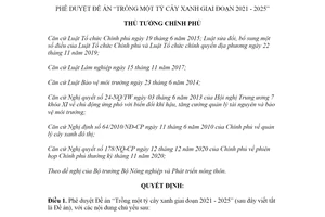 Quyết định 524/QĐ-TTg 2021 Đề án Trồng một tỷ cây xanh giai đoạn 2021-2025
