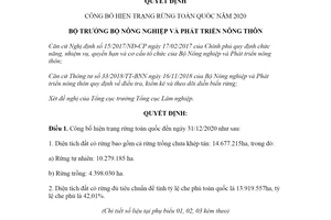 Quyết định 1558/QĐ-BNN-TCLN 2021 công bố hiện trạng rừng toàn quốc năm 2020