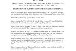 Quyết định 09/QĐ-TWPCTT 2021 Quy chế về công tác trực ban họp chỉ đạo phòng chống thiên tai