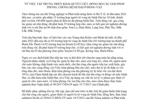 Chỉ thị 11/CT-UBND 2021 triển khai giải pháp phòng chống bệnh dại ở động vật tỉnh Đắk Lắk