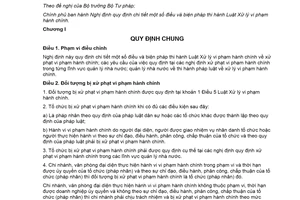 Nghị định 118/2021/NĐ-CP hướng dẫn Luật Xử lý vi phạm hành chính mới nhất