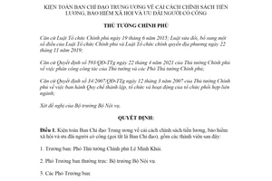 Quyết định 1012/QĐ-TTg 2021 kiện toàn Ban Chỉ đạo Trung ương về cải cách chính sách tiền lương