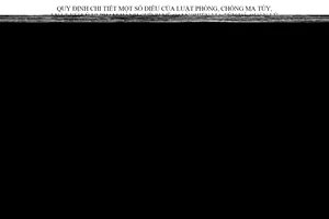 Nghị định 116/2021/NĐ-CP hướng dẫn Luật Phòng chống ma túy về cai nghiện ma túy mới nhất