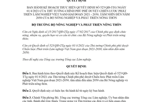 Quyết định 3458/QĐ-BNN-TCLN 2021 Kế hoạch thực hiện Quyết định 523/QĐ-TTg
