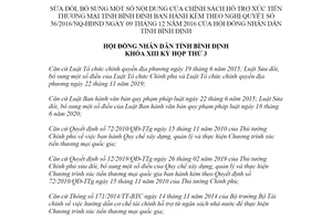 Nghị quyết 12/2021/NQ-HĐND sửa đổi Nghị quyết 36/2016/NQ-HĐND tỉnh Bình Định