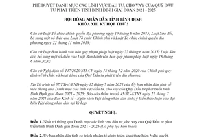 Nghị quyết 10/2021/NQ-HĐND Danh mục lĩnh vực đầu tư của Quỹ Đầu tư phát triển tỉnh Bình Định