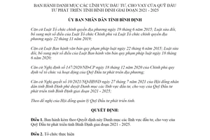 Quyết định 42/2021/QĐ-UBND Danh mục lĩnh vực đầu tư của Quỹ Đầu tư phát triển tỉnh Bình Định