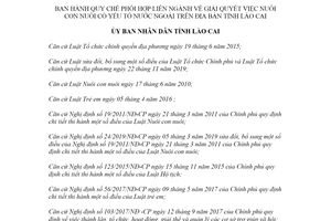 Quyết định 2995/QĐ-UBND 2021 giải quyết việc nuôi con nuôi có yếu tố nước ngoài tỉnh Lào Cai