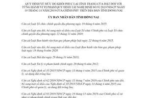 Quyết định 40/2021/QĐ-UBND mức độ khôi phục lại tình trạng của đất với từng hành vi Đồng Nai