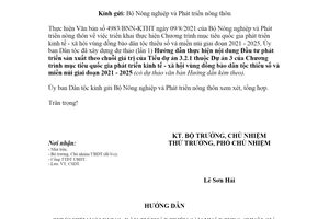 Công văn 1286/UBDT-CSDT 2021 hướng dẫn phát triển kinh tế xã vùng đồng bào dân tộc thiểu số