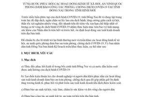 Kế hoạch 11102/KH-UBND 2021 từng bước phục hồi các hoạt động kinh tế xã hội tỉnh Đồng Nai