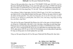 Công văn 4526/TCHQ-TXNK 2021 phân loại mặt hàng Pediasure Grow Gain dạng lỏng