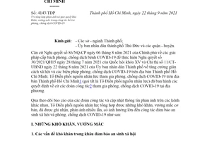 Công văn 4143/TĐP 2021 tổng hợp phản ánh trong hỗ trợ phòng chống dịch COVID19 Hồ Chí Minh