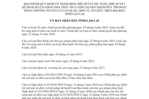 Quyết định 48/2021/QĐ-UBND kế hoạch lựa chọn nhà thầu mua sắm tài sản cơ quan đơn vị tổ chức Lào Cai