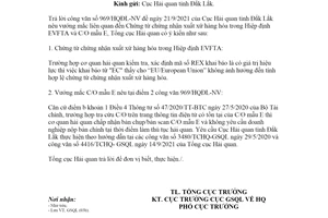 Công văn 4705/TCHQ-GSQL 2021 chứng từ chứng nhận xuất xứ hàng hóa