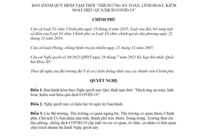 Nghị quyết 128/NQ-CP 2021 Quy định tạm thời thích ứng an toàn linh hoạt kiểm soát hiệu quả dịch COVID19