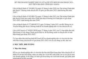 Kế hoạch 183/KH-UBND 2021 hỗ trợ doanh nghiệp nhỏ và vừa chuyển đổi số tỉnh Hậu Giang