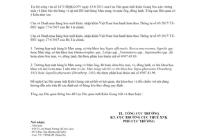 Công văn 5186/TCHQ-TXNK 2021 phân loại mặt hàng Mực nang