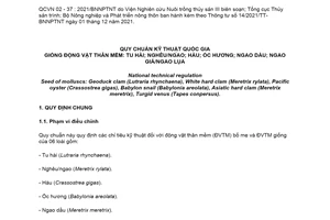 Quy chuẩn kỹ thuật quốc gia QCVN 02-37:2021/BNNPTNT về Giống động vật thân mềm: Tu hài; nghêu/ngao; hàu; ốc hương; ngao dầu; ngao giá/ngao lụa