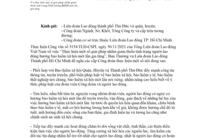 Công văn 1078/LĐLĐ-TG 2021 giảm thiểu hưởng bảo hiểm một lần Hồ Chí Minh