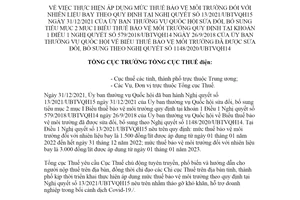 Công điện 11/CĐ-TCT 2021 mức thuế bảo vệ môi trường đối với nhiên liệu bay