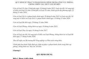 Nghị định 03/2022/NĐ-CP xử phạt vi phạm hành chính lĩnh vực phòng chống thiên tai