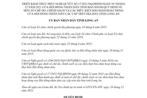 Quyết định 02/2022/QĐ-UBND thực hiện Nghị quyết 17/2021/NQ-HĐND tỉnh Long An