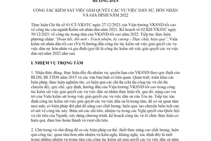 Hướng dẫn 06/HD-VKSTC 2022 kiểm sát việc giải quyết các vụ việc dân sự hôn nhân