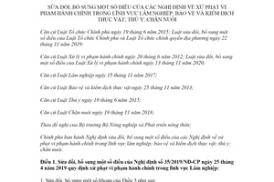 Nghị định 07/2022/NĐ-CP sửa đổi Nghị định xử phạt vi phạm hành chính lĩnh vực lâm nghiệp