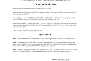 Quyết định 146/QĐ-UBND 2022 Chương trình công tác trọng tâm Bình Định